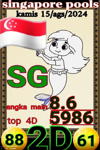 SYAIR SGP VIP